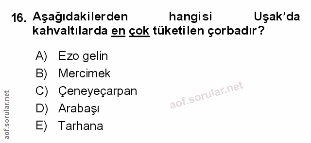 Soru 16