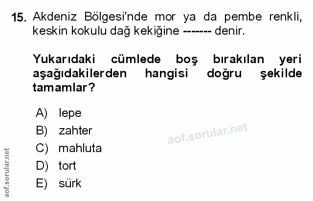Soru 15