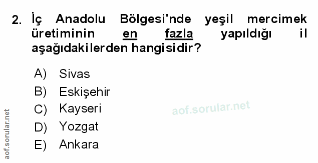 Soru 2