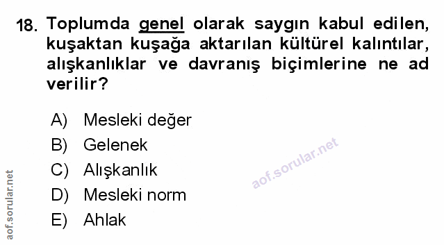 Soru 18