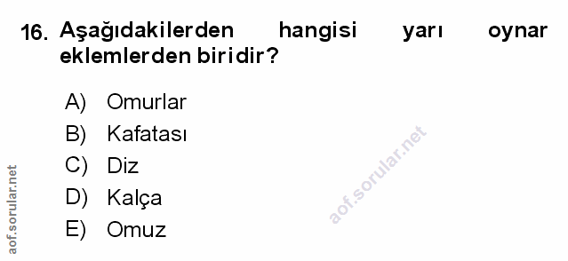 Soru 16