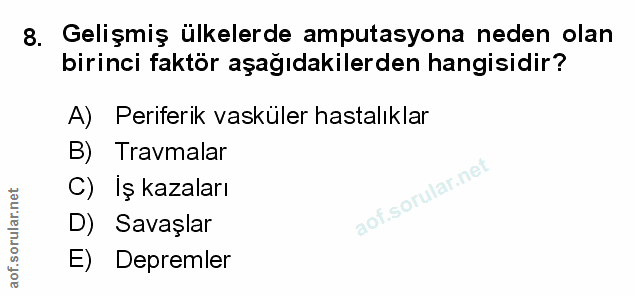 Soru 8