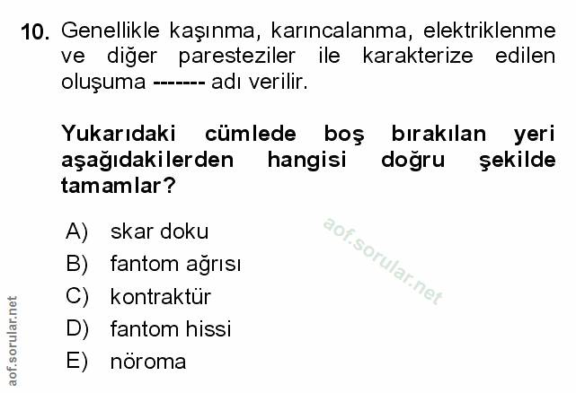 Soru 10