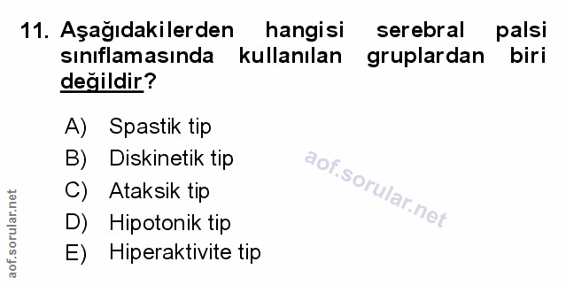 Soru 11