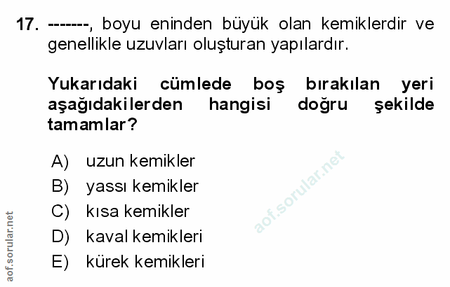 Soru 17