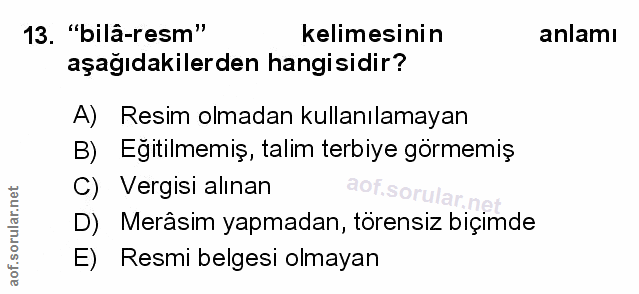 Soru 13