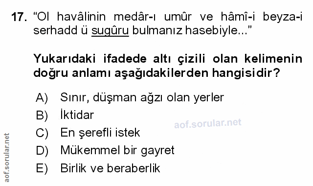 Soru 17