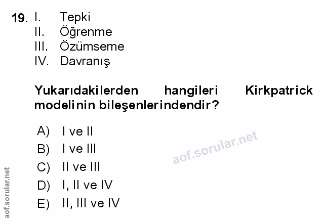 Soru 19