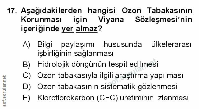 Soru 17