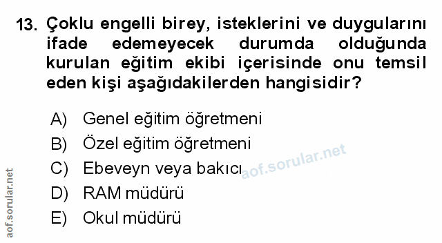 Soru 13