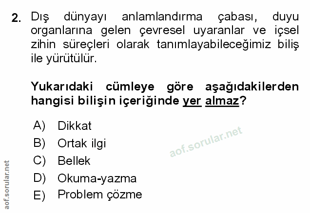 Soru 2