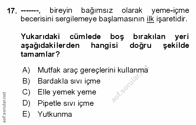 Soru 17