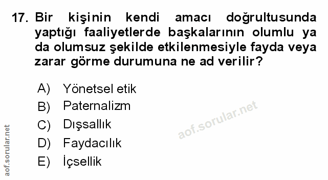 Soru 17