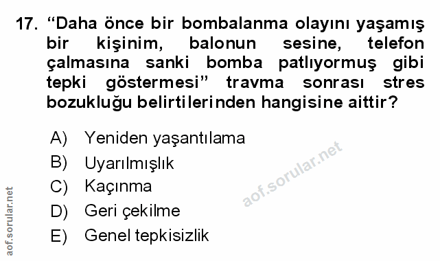 Soru 17