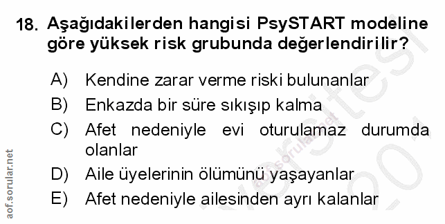 Soru 18
