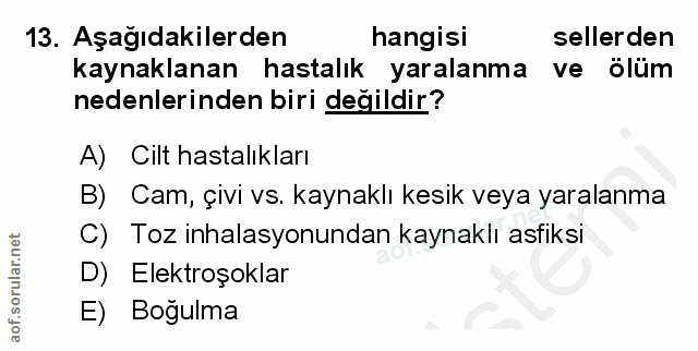 Soru 13