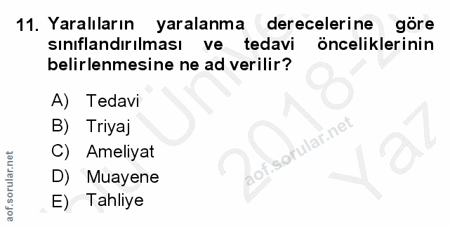 Soru 11