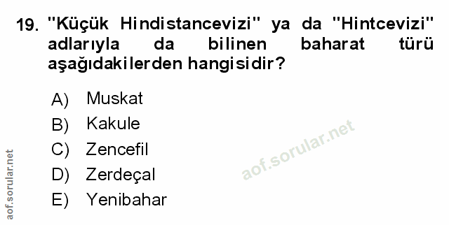 Soru 19