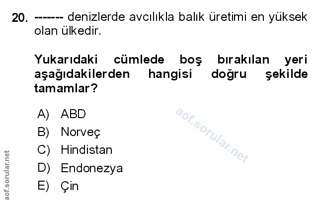 Soru 20