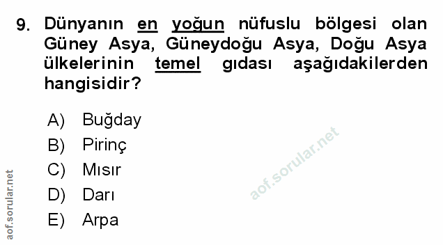 Soru 9