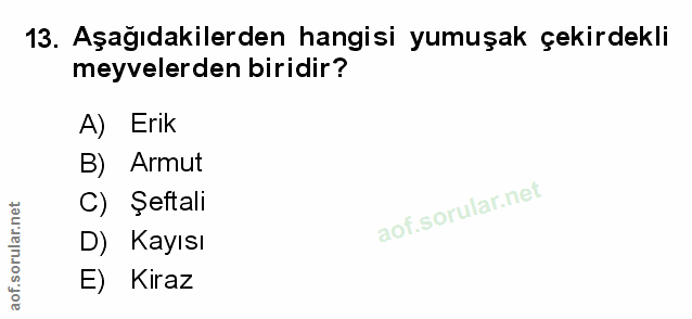 Soru 13