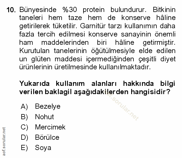 Soru 10