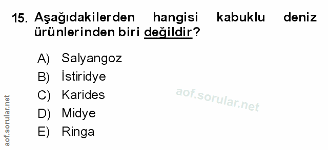 Soru 15