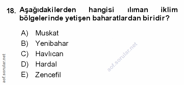 Soru 18