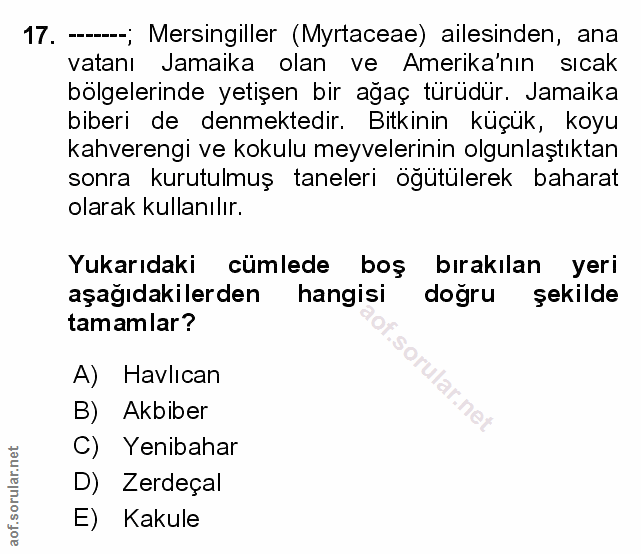 Soru 17