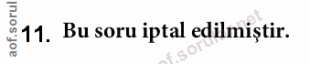 Soru 11