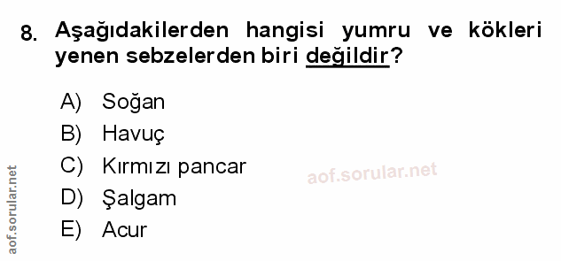 Soru 8