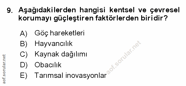 Soru 9