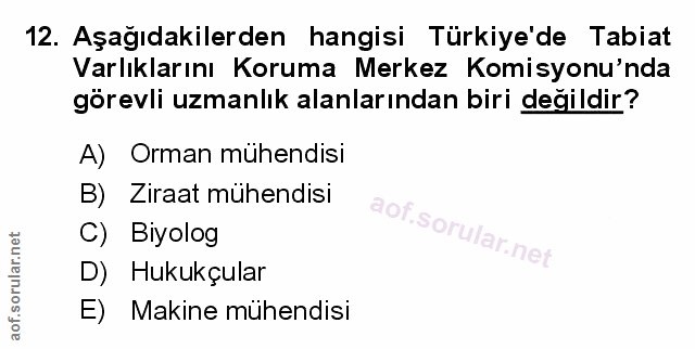 Soru 12