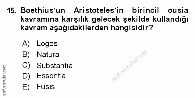 Soru 15