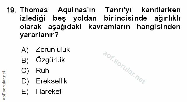 Soru 19