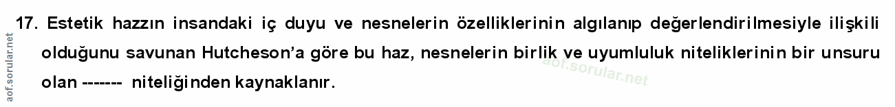Soru 17