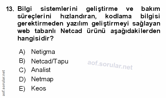 Soru 13