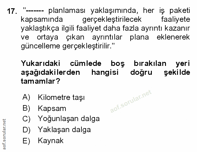 Soru 17