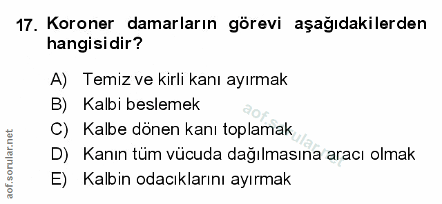Soru 17