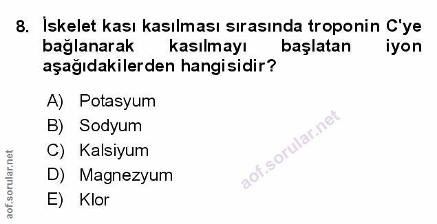 Soru 8
