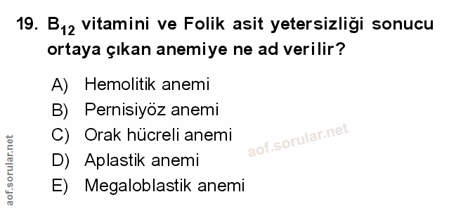 Soru 19