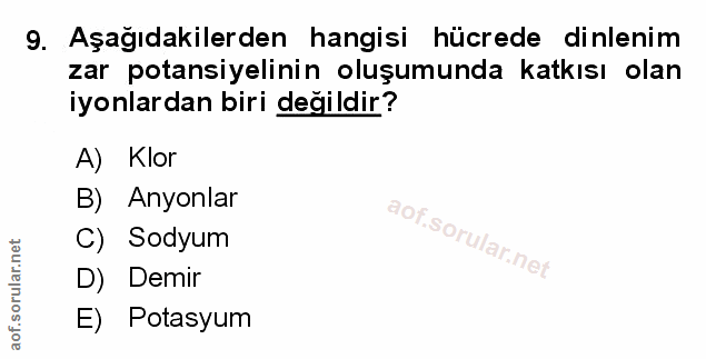 Soru 9