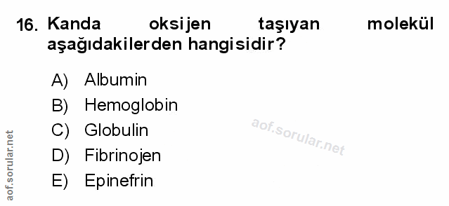 Soru 16