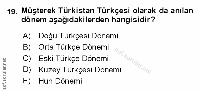 Soru 19