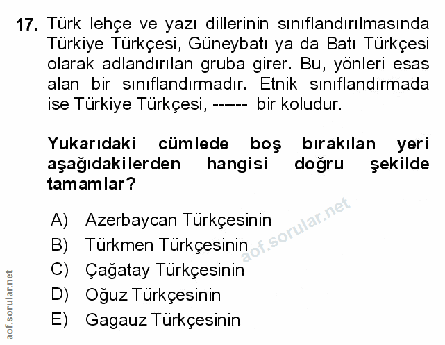 Soru 17