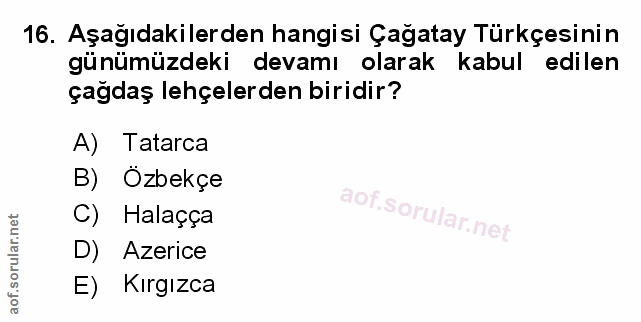Soru 16