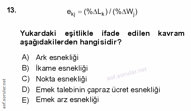 Soru 13