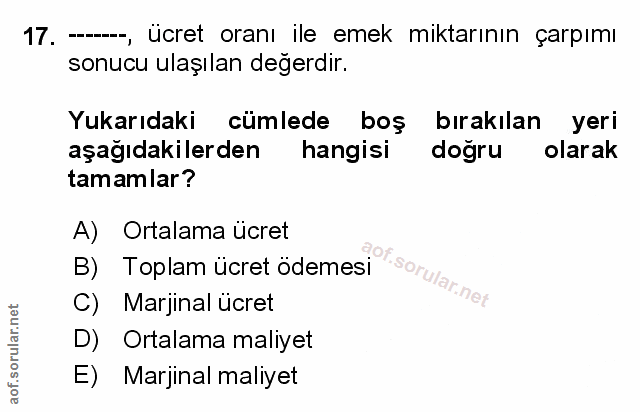 Soru 17
