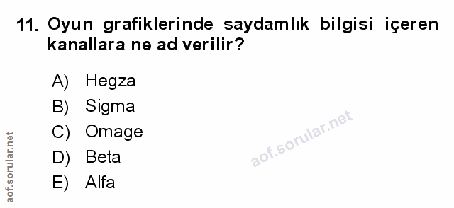 Soru 11