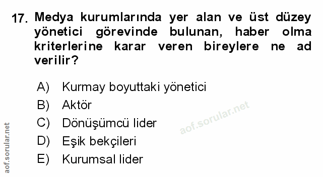 Soru 17